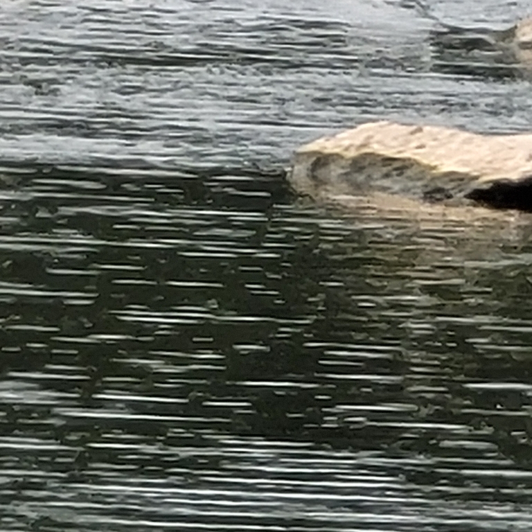 A picture of water near one of the rocks in the river.