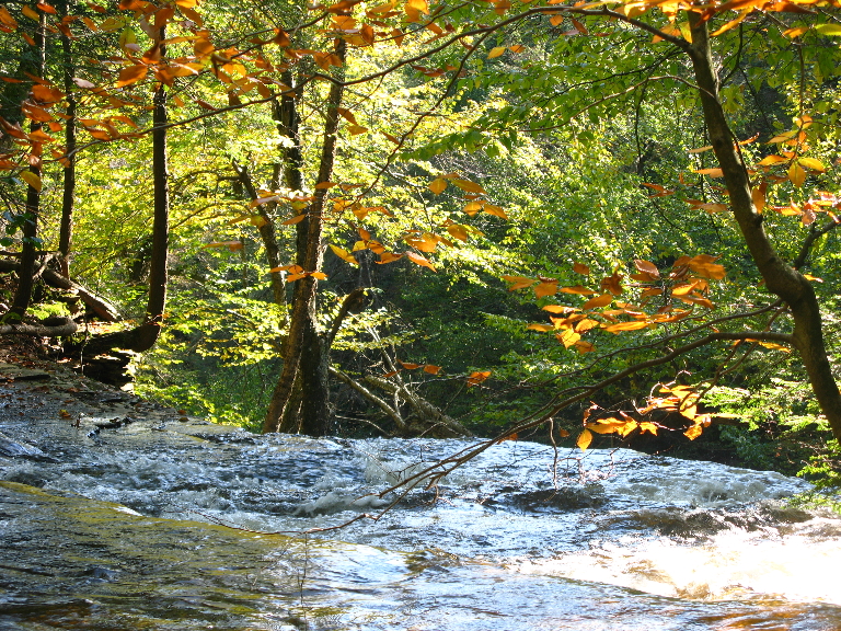 This picture is of a waterfall but the point of view is from the top. It shows the water flowing over the edge.
