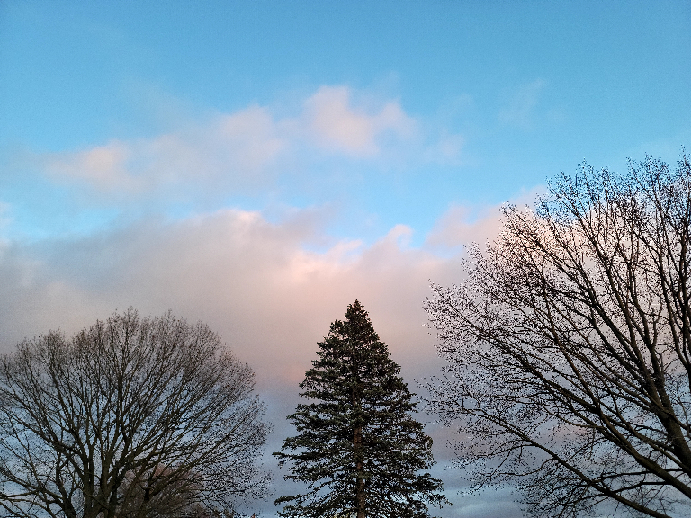 This picture shows gray and pinkish clouds against a blue sky with a winter look to it. That is contrasted by the trees in the foreground starting to spring to life.