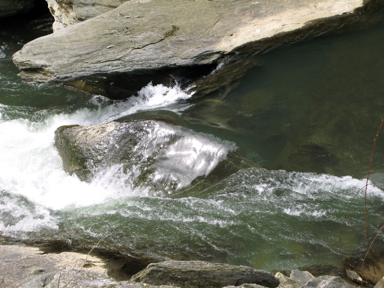 This photo was taken at Suzies hole near Pequea in Lancaster County